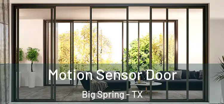 Motion Sensor Door Big Spring - TX